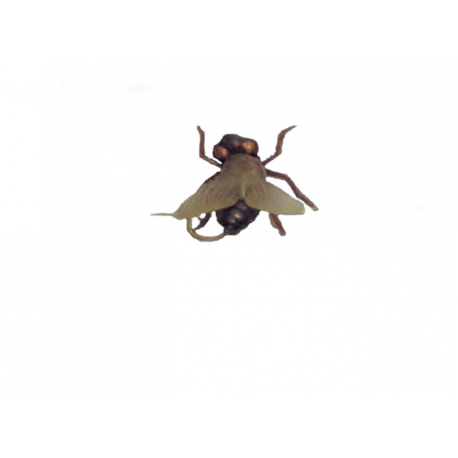 ISCA MOSCA - FISHTEX