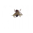 ISCA MOSCA - FISHTEX