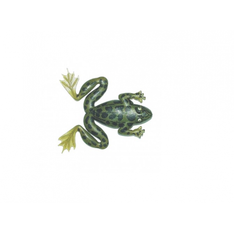 ISCA ART ARROW FROG - MARINE SPORTS
