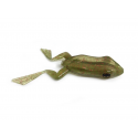 ISCA SOFT X-FROG TOP - MOSNTER 3X