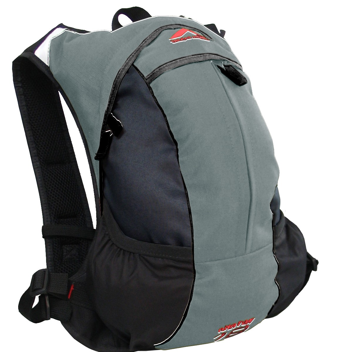 Anatom Cinza c/ Preto