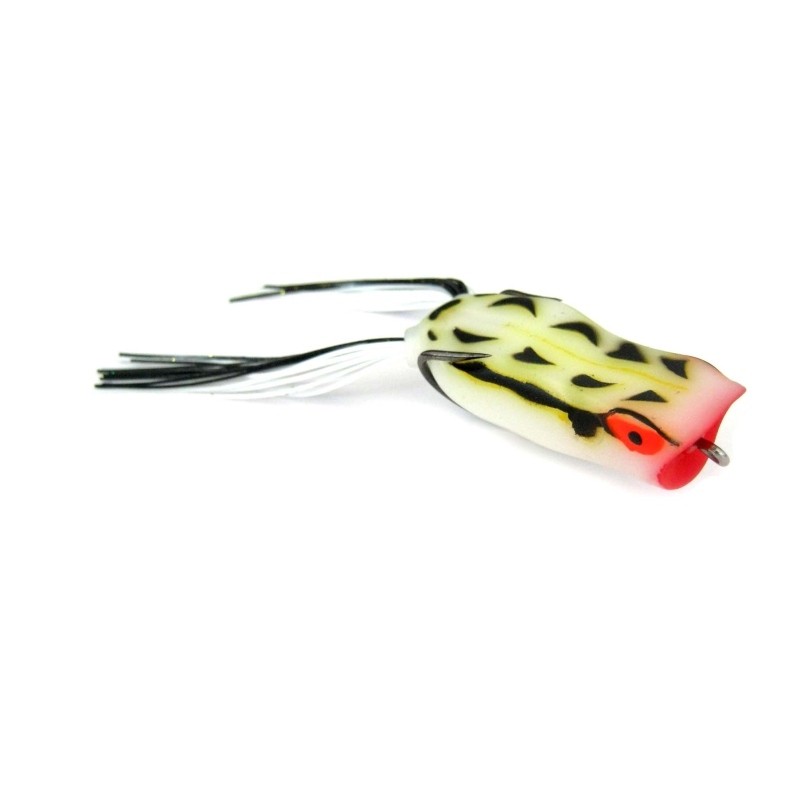 Frog 55 01