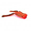 Frog 55 02