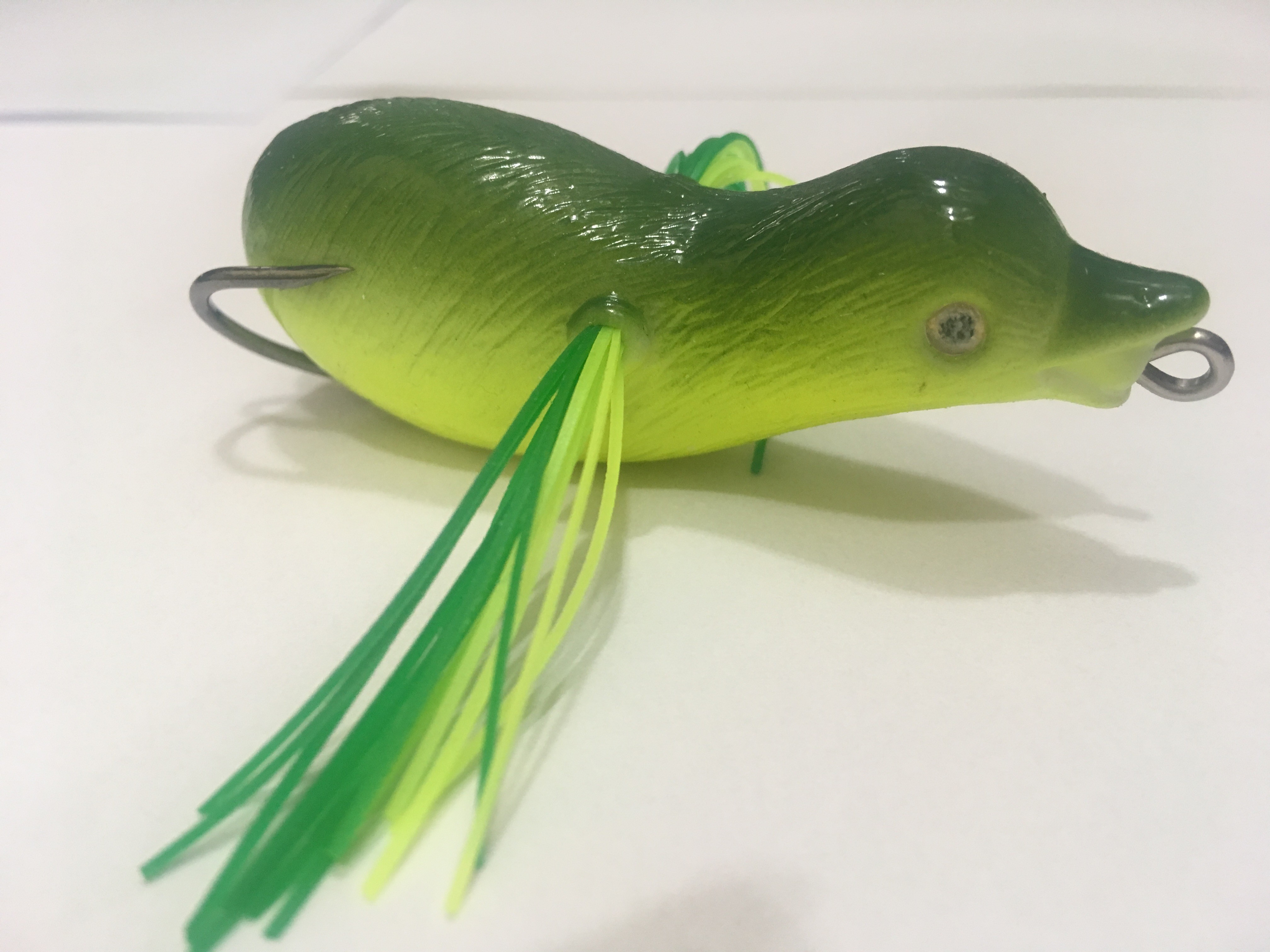 DUCK 1