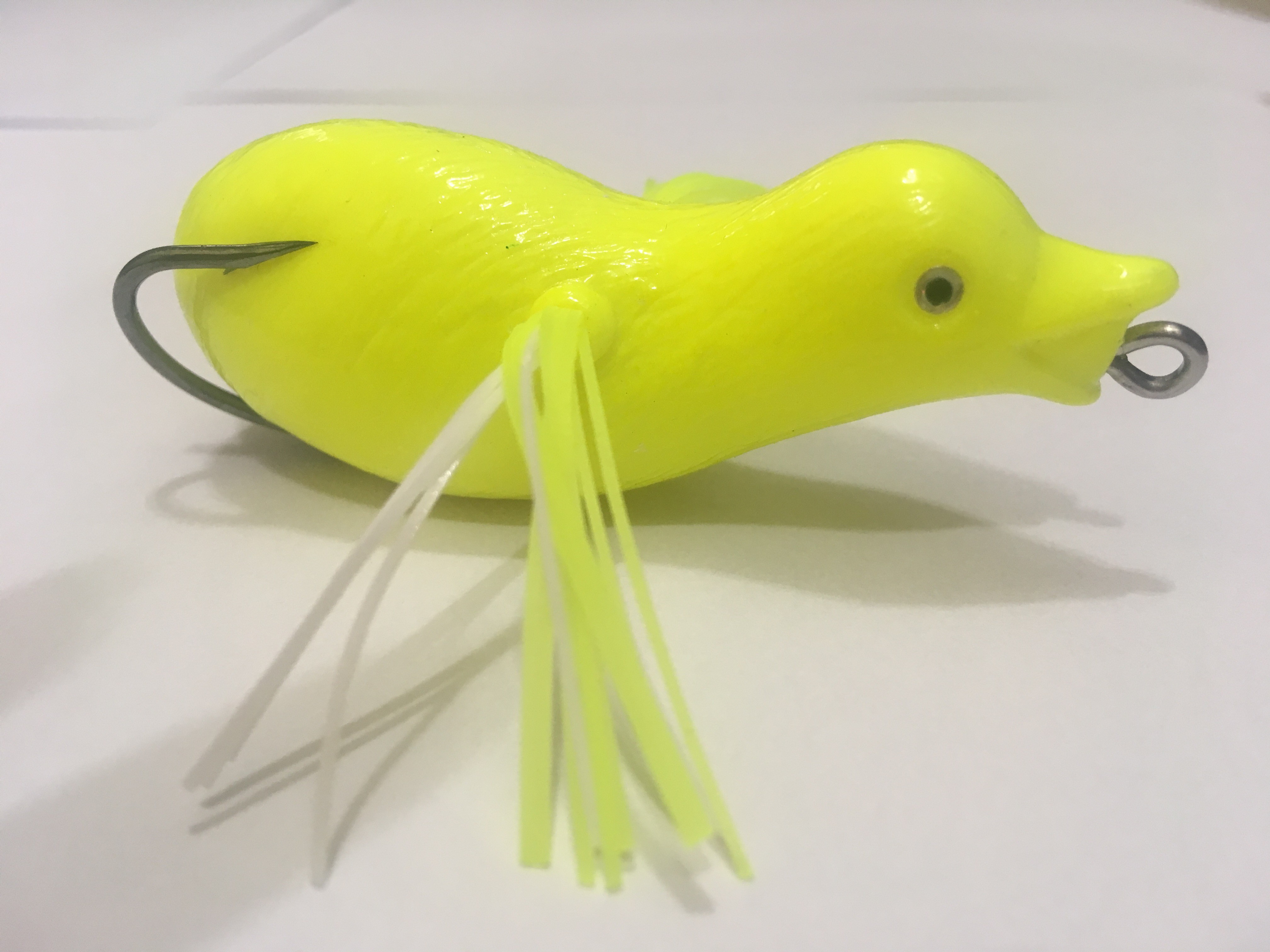 DUCK 8