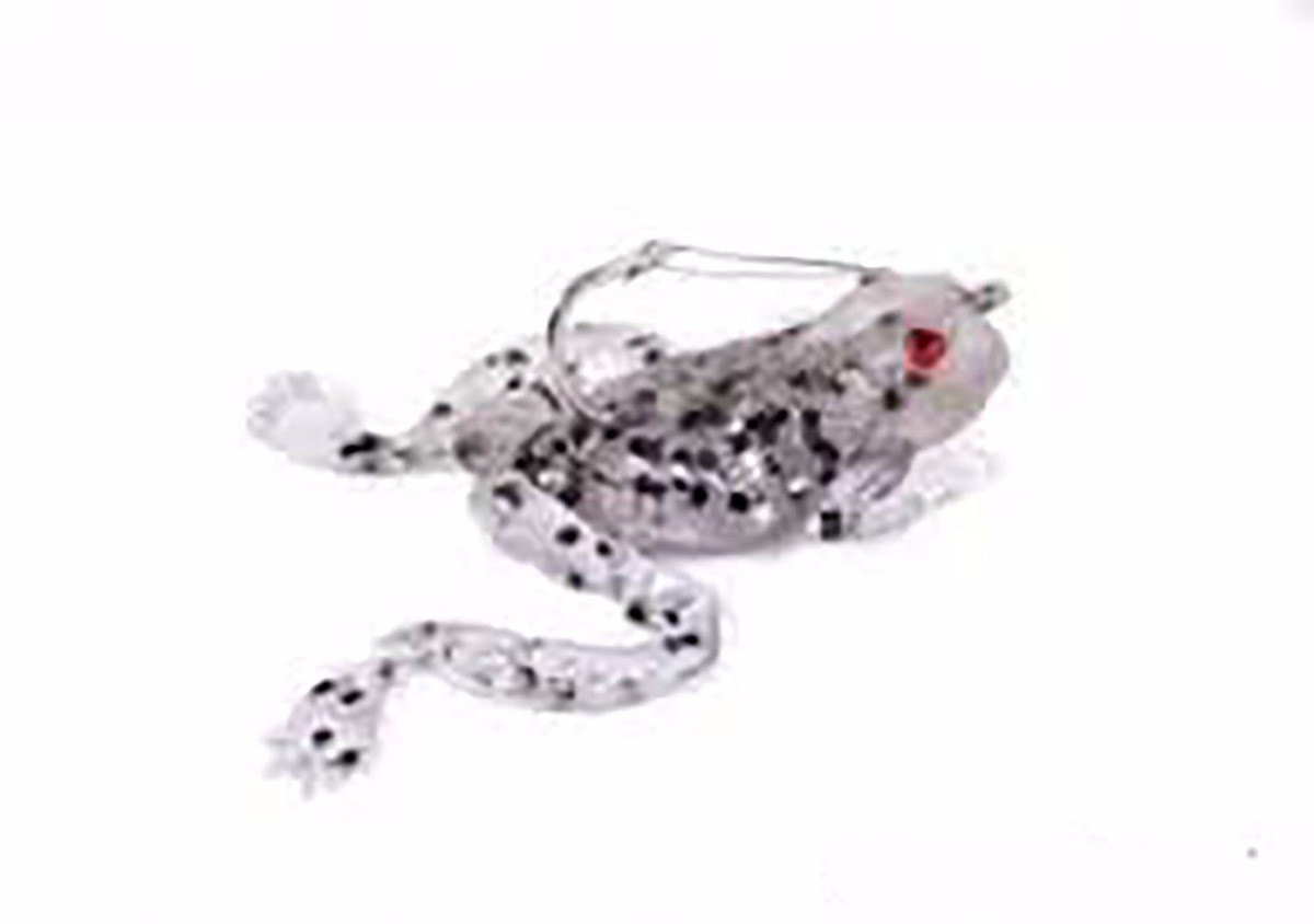 Frog Preto c/ Prata
